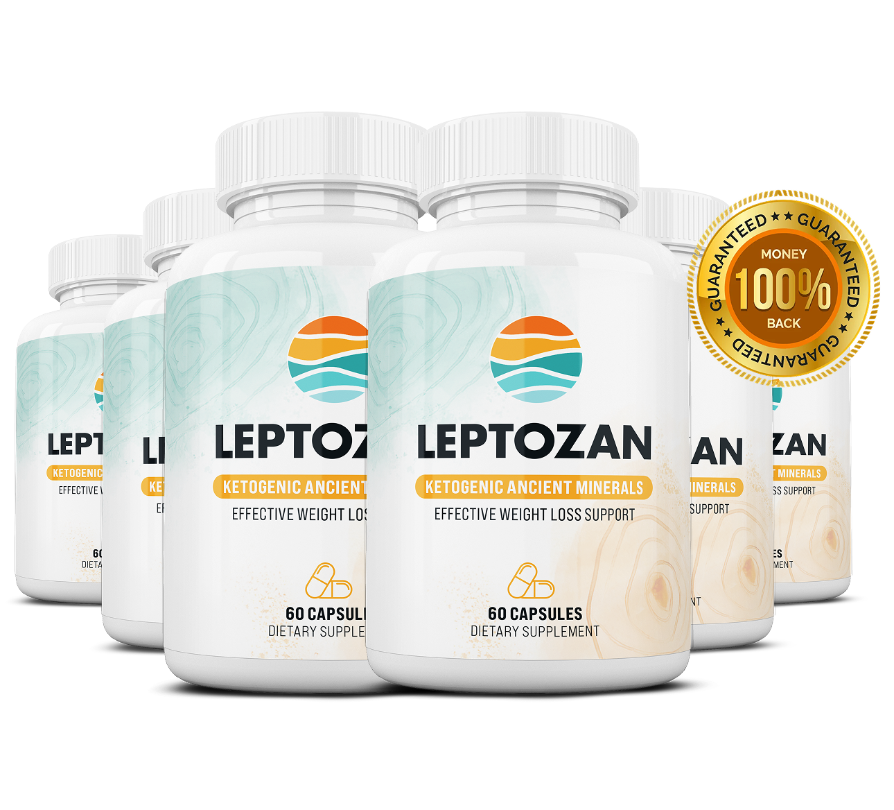 Leptozan six-bottle pack